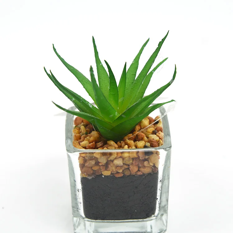 Home office decor glass transparent artificial mini succulents plants for sale