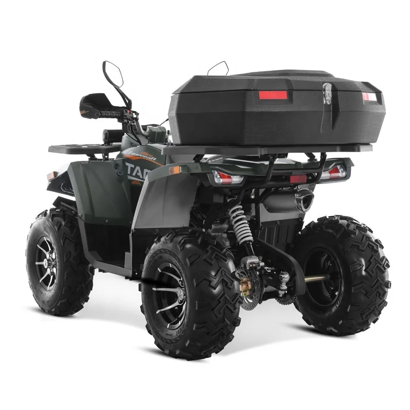 Tao Motor 2024 New side by sides 4x4 quad bike 250cc ATV with CE EPA ECE certificate
