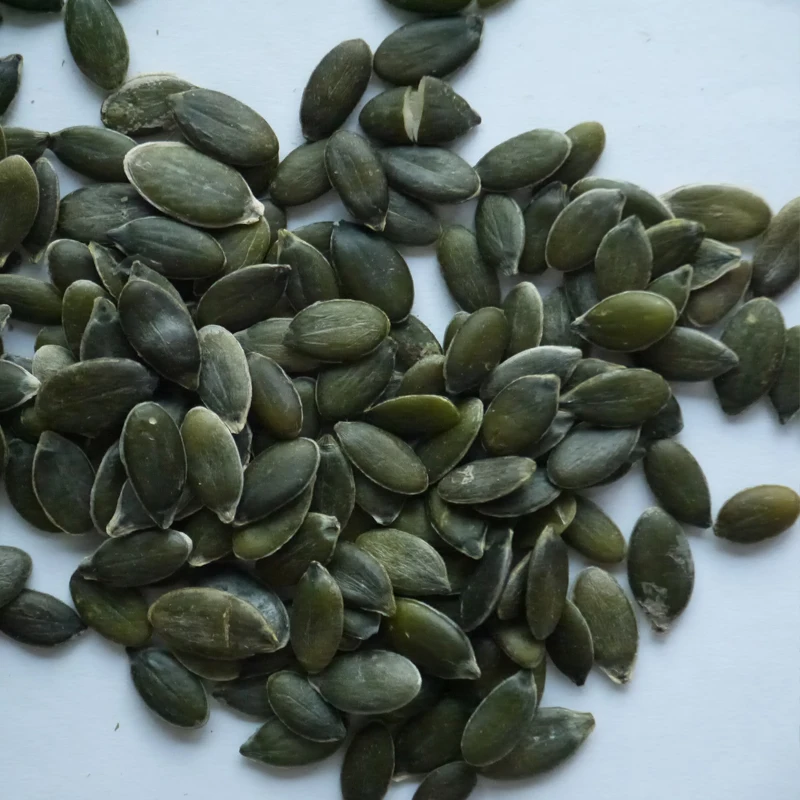 GWS Pumpkin seed kernel Edible Seeds Dark Green Pumpkin Kernels