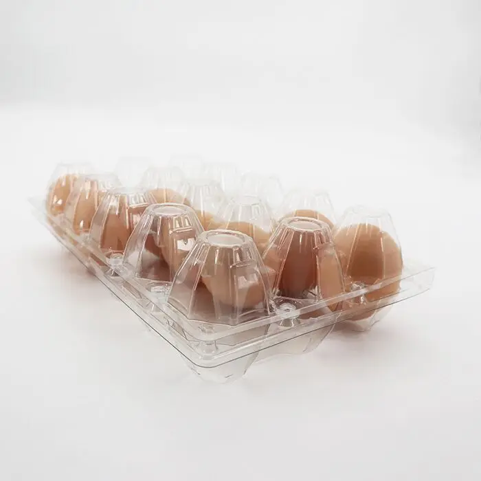 High Quality Plastic quail  egg cartons 6 pack eggs tray carton