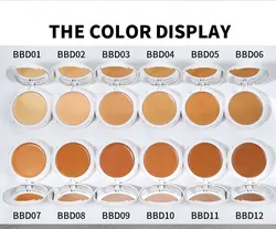Private Label Face Makeup Cosmetics Waterproof Cream Compact Foundation High Coverage