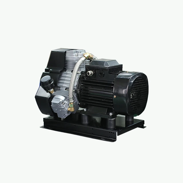 OEM Factory low noise silent quincy portable high pressure reciprocating piste  oxygen gas booster oil free  piston air compress