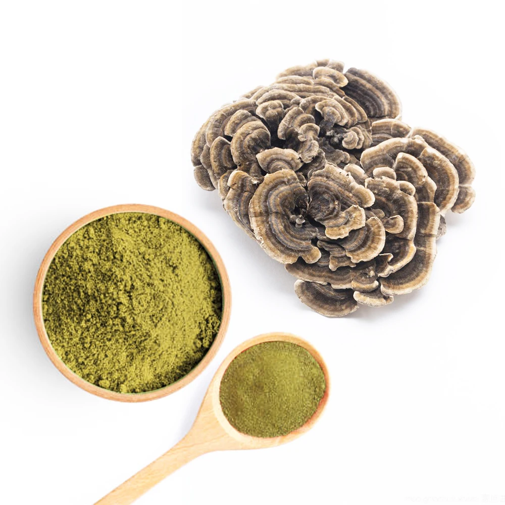 Organic Turkey Tail Mushroom Powder Natural Mushroom Supplement, Contains PSP and PSK, Pet Friendly
