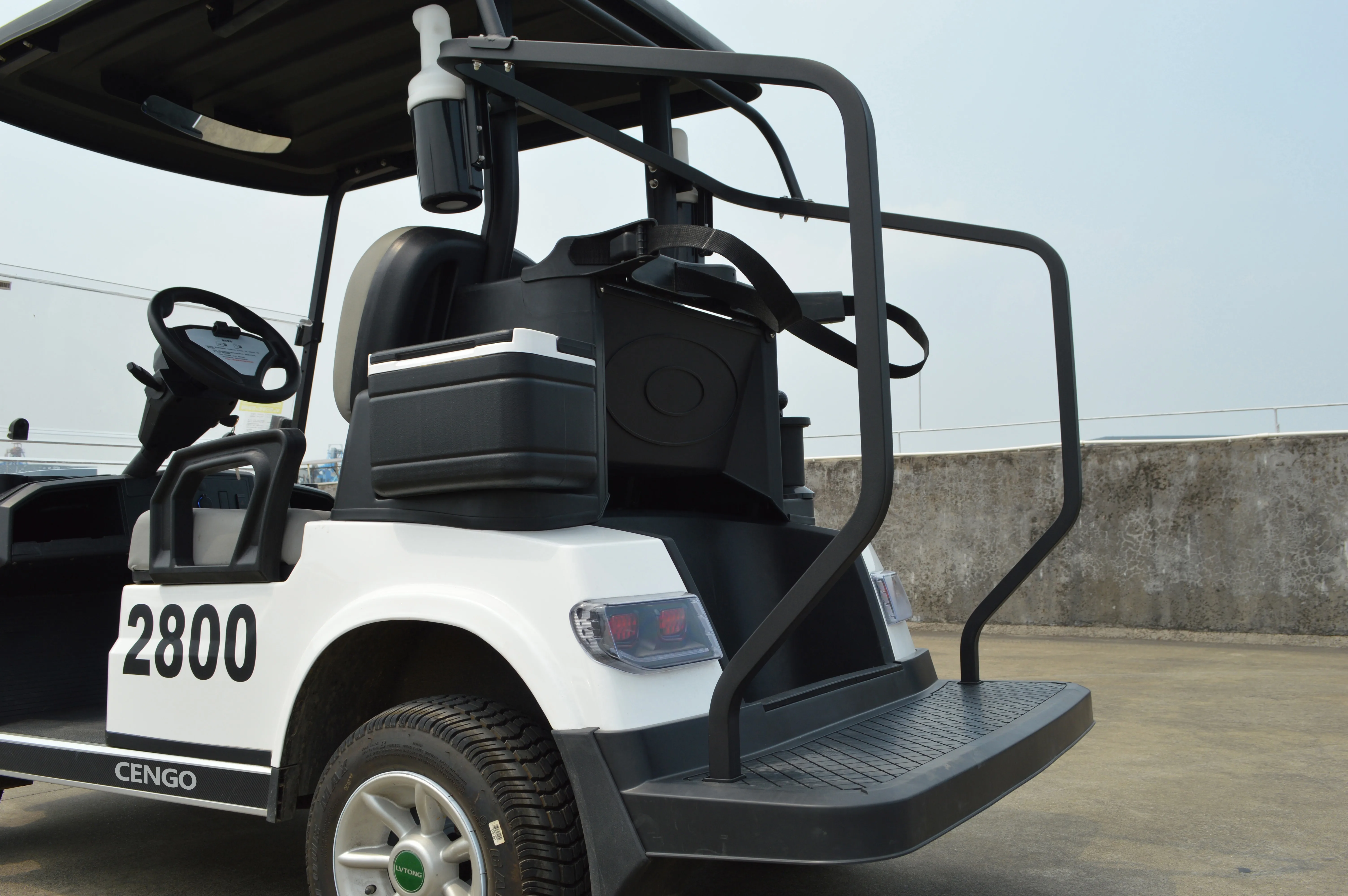 2 4 6 Seat Electric Lithium Battery Golf Cart Hunting Golf Buggy car with DOT EEC