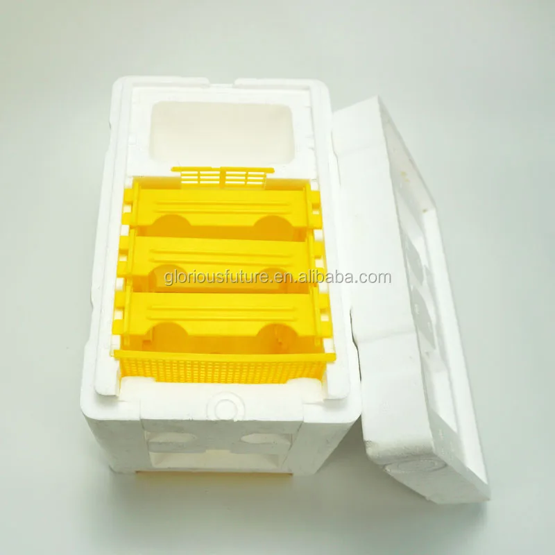 Beekeeping Plastic box for bee Honey Queen Bee Hive Nuc Box Mini bee Mating Boxes