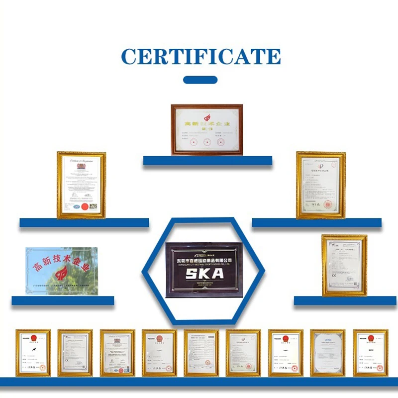 Certificate.jpg