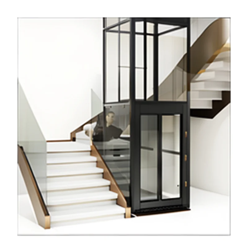 Modern Automatic Double Door Round Lift Original Design Panoramic 450kg Fuji Elevator