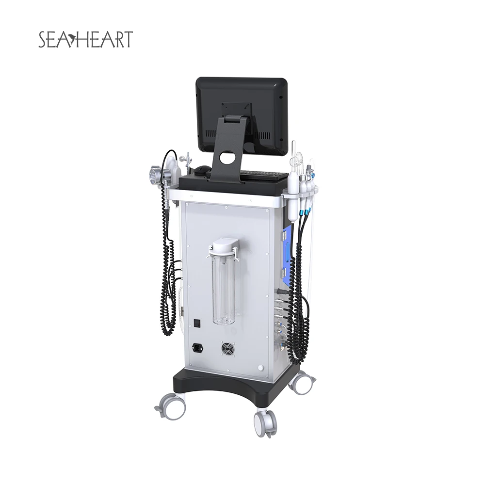 10 in 1 Hydra Dermabrasion Multifunctional Beauty Crystal Microdermabrasion Machine