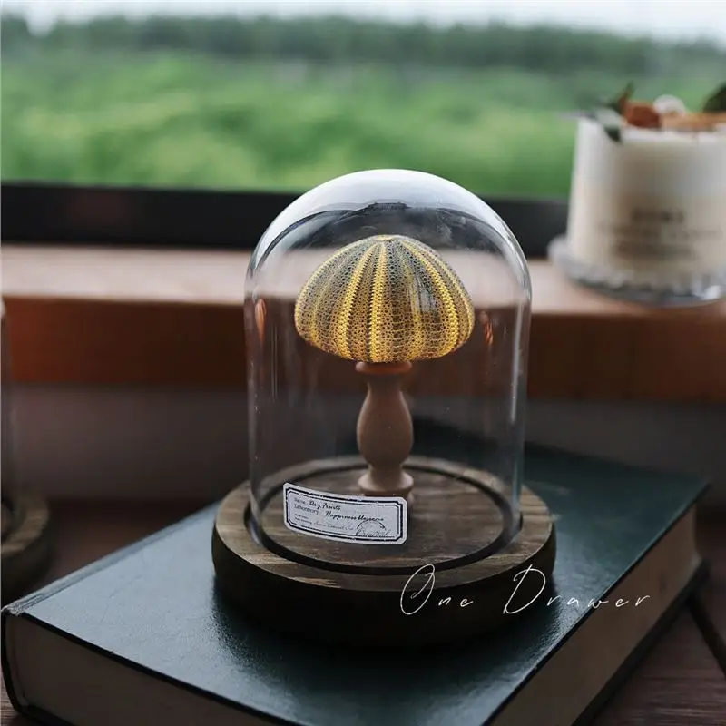 Ocean island retro shell sea urchin conch lamp night light ornaments handmade DIY material package desktop ornaments