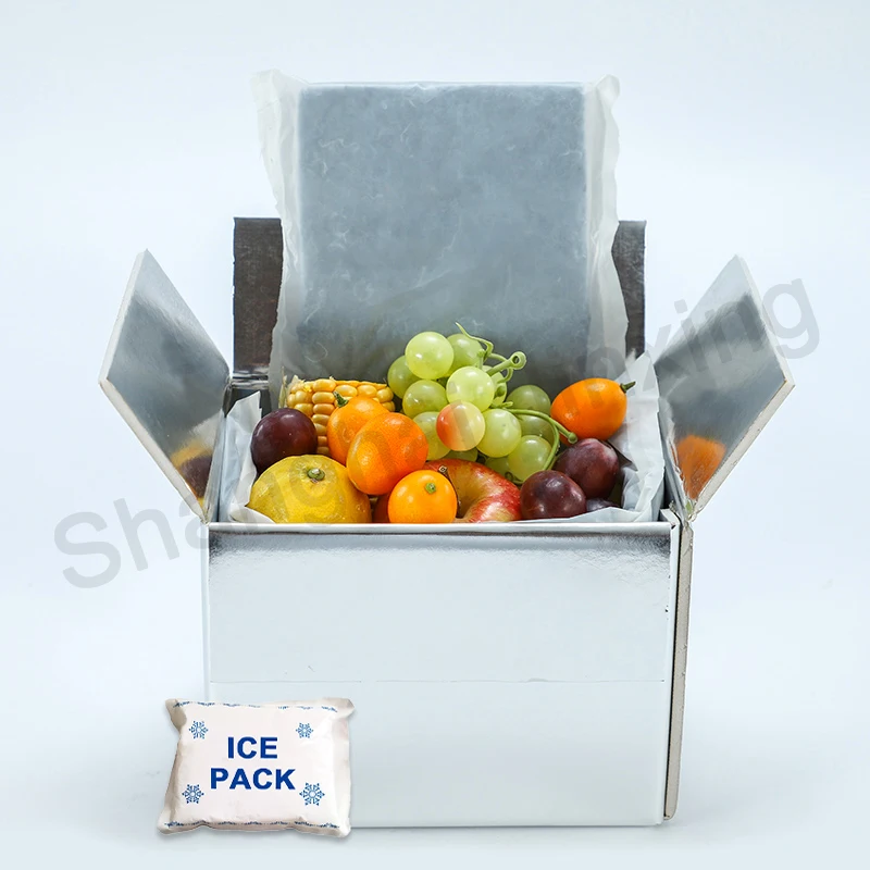 Insulated Packaging for Food Delivery Isothermic Bags,Fast Food Bag,Aluminum Foil Bag Sliver Foam Box Liners