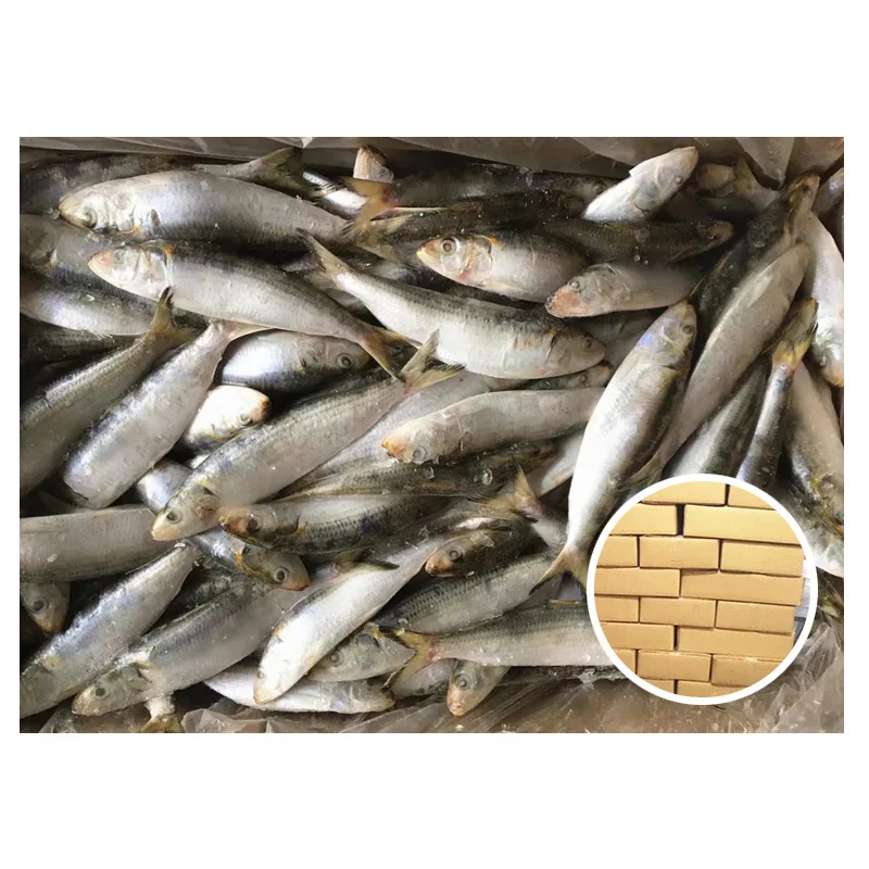 Китайская упаковка на заказ оптовая продажа замороженные сардины для банок 125