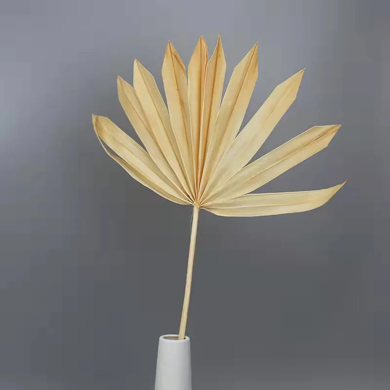 Wholesale high quality dried leaf flower wedding home decoration flower beauty good price dried palm leaves