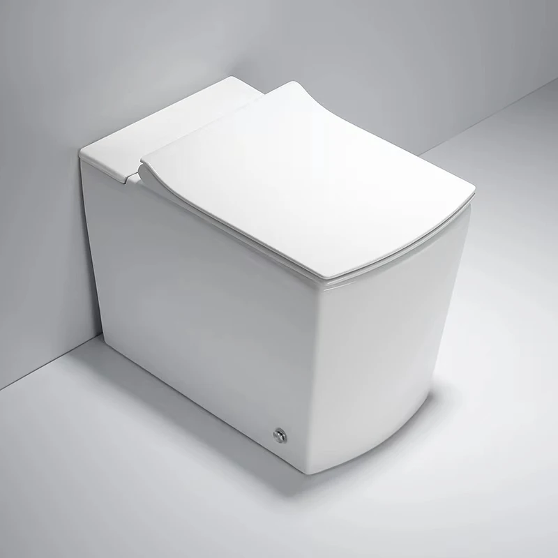 Modern Minimalist toilet Bathroom smart toilet dedicate toilet