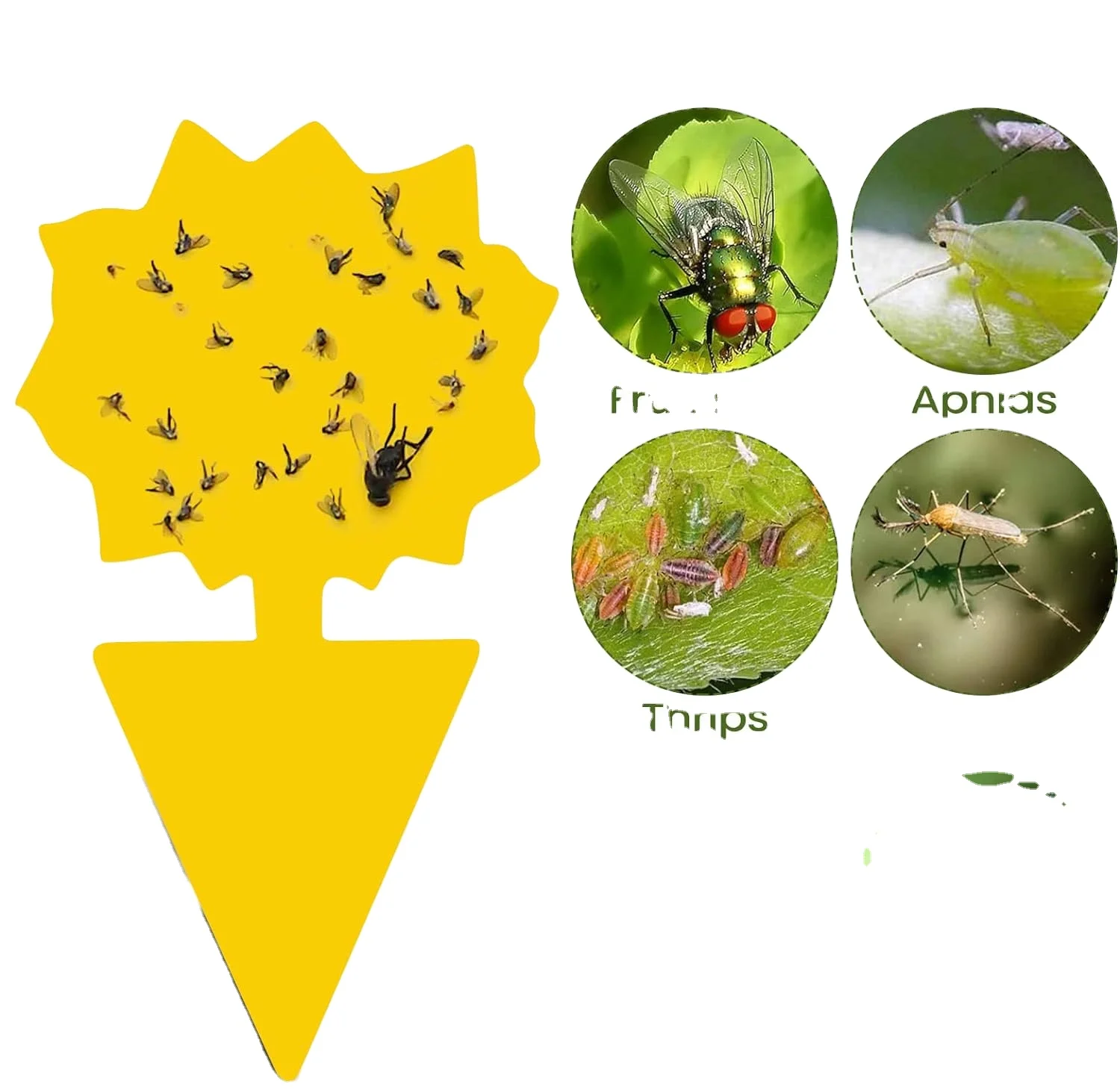 Yellow Pp Board Shapes Sticky Gnat Garden Insect Glue Traps