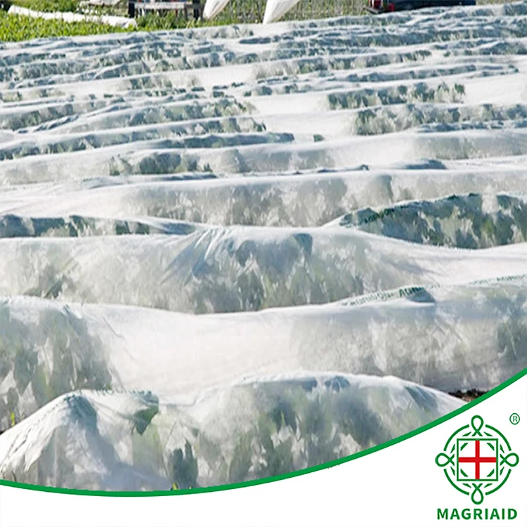 agriculture  pp spun bond fabric spun lace fabric non woven fabric for green house and  straw berry protective bag