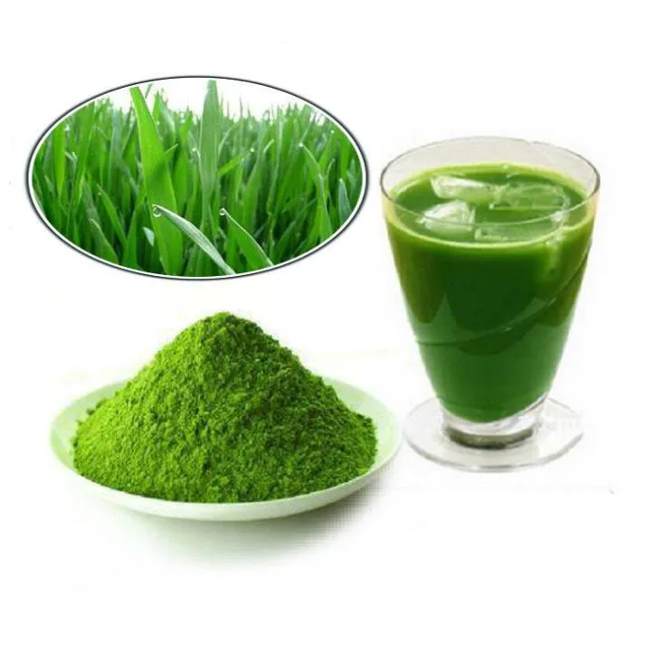 Высокое качество, низкая цена, 100% натуральный чистый органический порошок экстракта ячменя