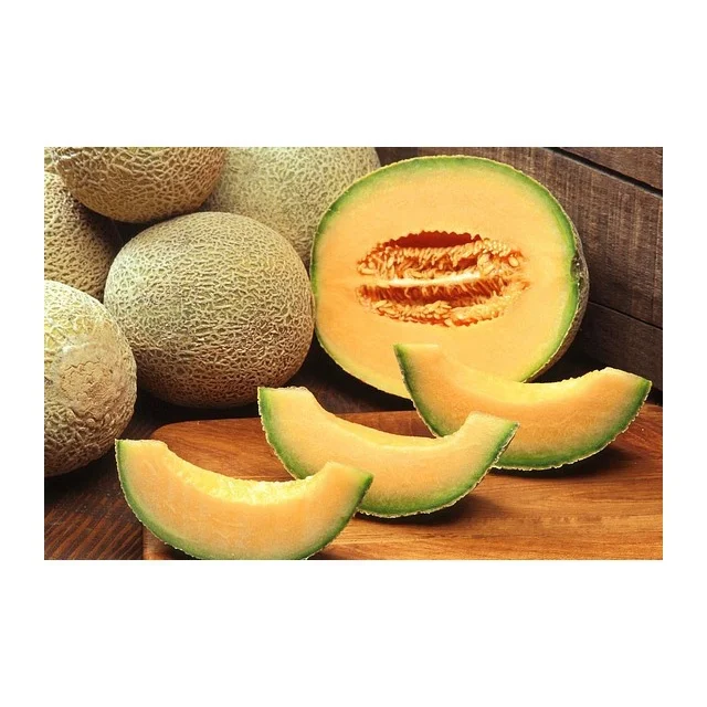 
New Arrival Dried Muskmelon Slices from Leading Exporter Factory Fruit Frozen Melon IQF Melon 