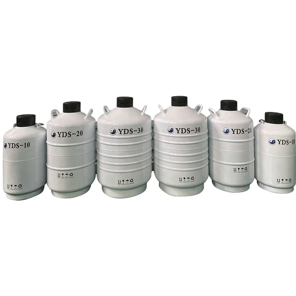 Liquid Nitrogen Tanks (YDS TYPE) Cryogenic Storage Container Stainless Steel Cryogenic Liquid Storage Tank