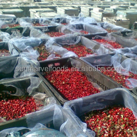 Quick Frozen Fruit Berry for Beverage Producing organic frozen lingonberry bulk