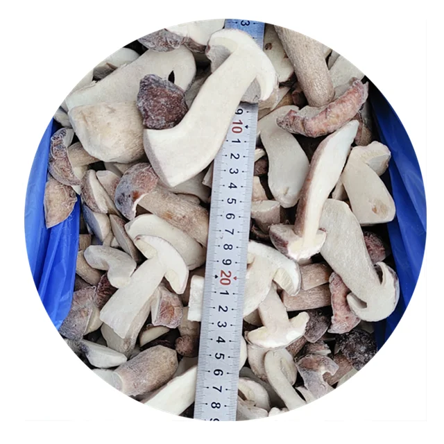 
whole sale fungus wild Porcini mushrooms IQF Boletus Edulis Yunnan wild fresh mushirooms 