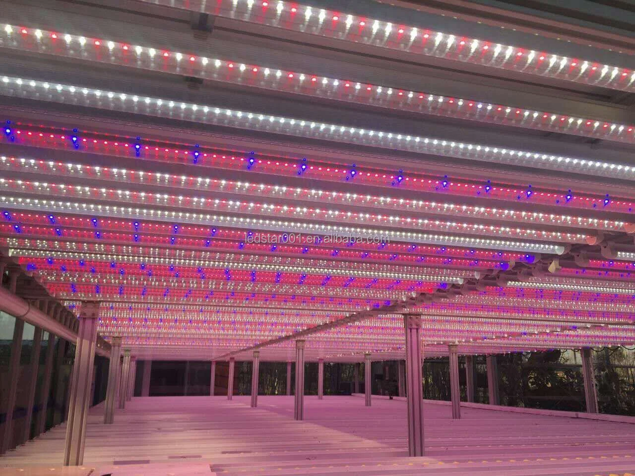 horticultureledchip02