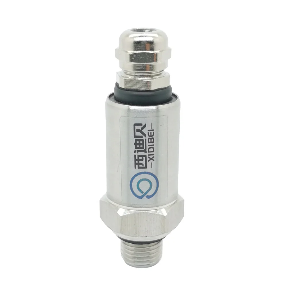 G1/4 9-32VDC 4-20mA 0-10V Direct cable IP65 waterproof pressure transducer stainless steel ceramic pressure transmitter