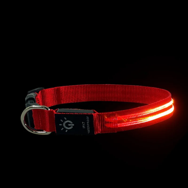 Dog Collar Leather Glow In The Dark Botas Masculina Cat Other Pet Products Dog Led Collar Rechargeable Beaded Dog Pet Collar