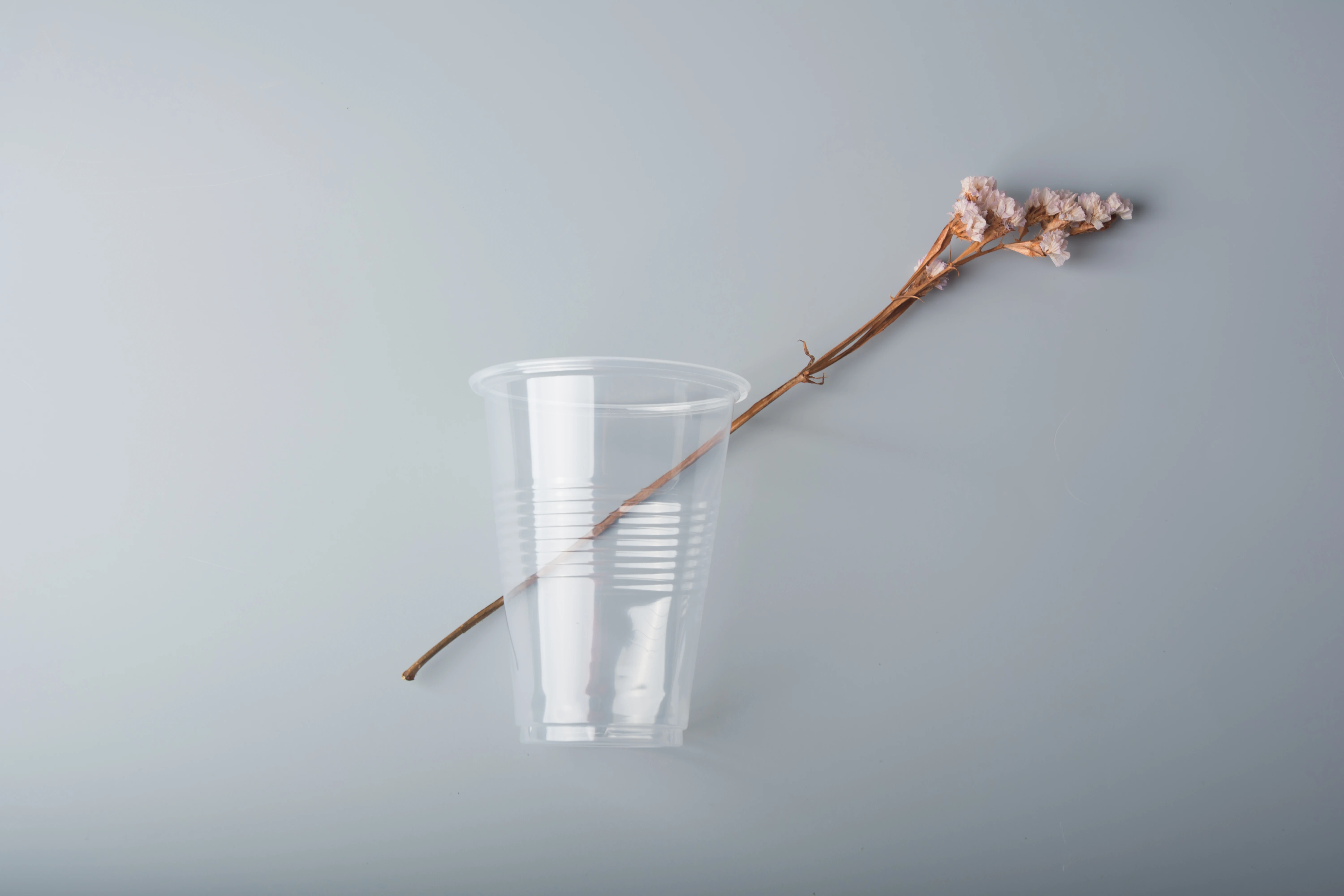 Hot sale disposable ripple wall 10oz 12oz 16oz clear drinking cup plastic PP disposable