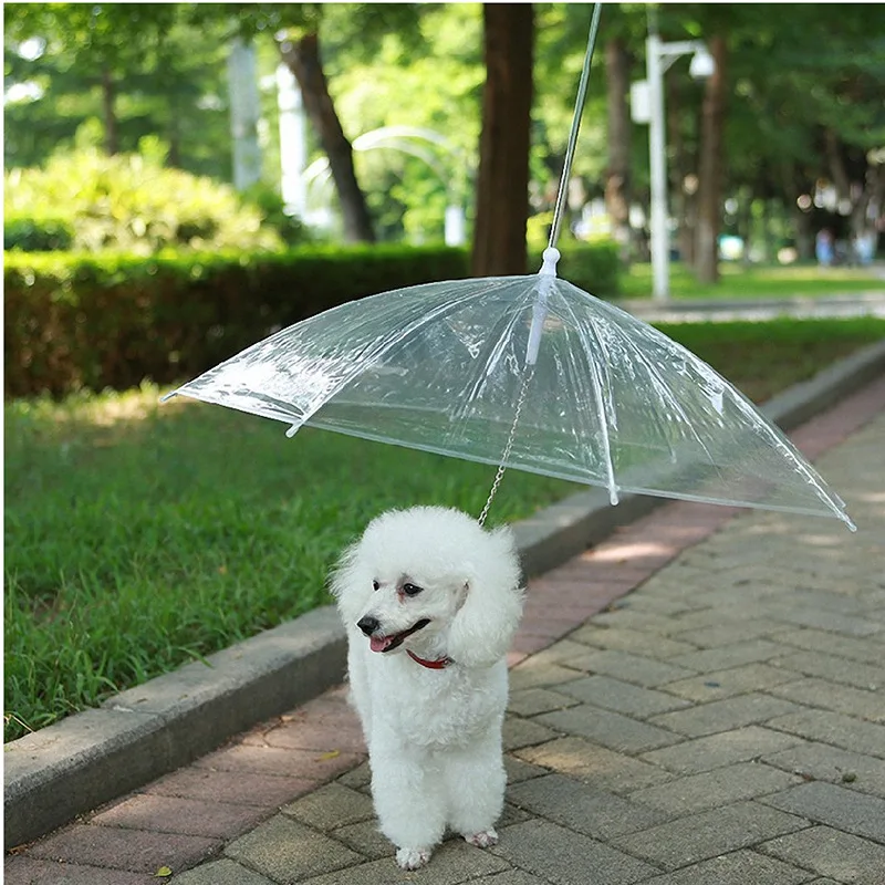 Waterproof Transparent Plastic Pet Umbrella For Dog Pet With Leash