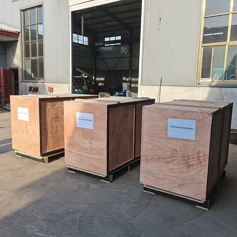 2024 best selling professional 100kg small puffed extruder making machine