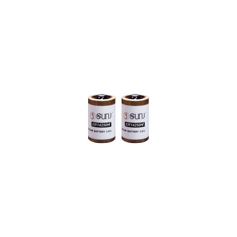 Large Capacity 4000mAh 3.6V D Size  Non-Rechargeable Lithium Battery Er14250H For IC Card Gas Meter