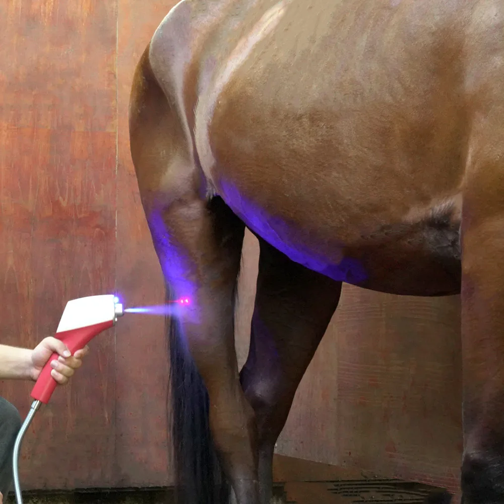 Physical Co2 Shock Cryo Therapy Device Cryo Skin Cooling Body Care Machine For Horses Dogs Cats Pets human Use