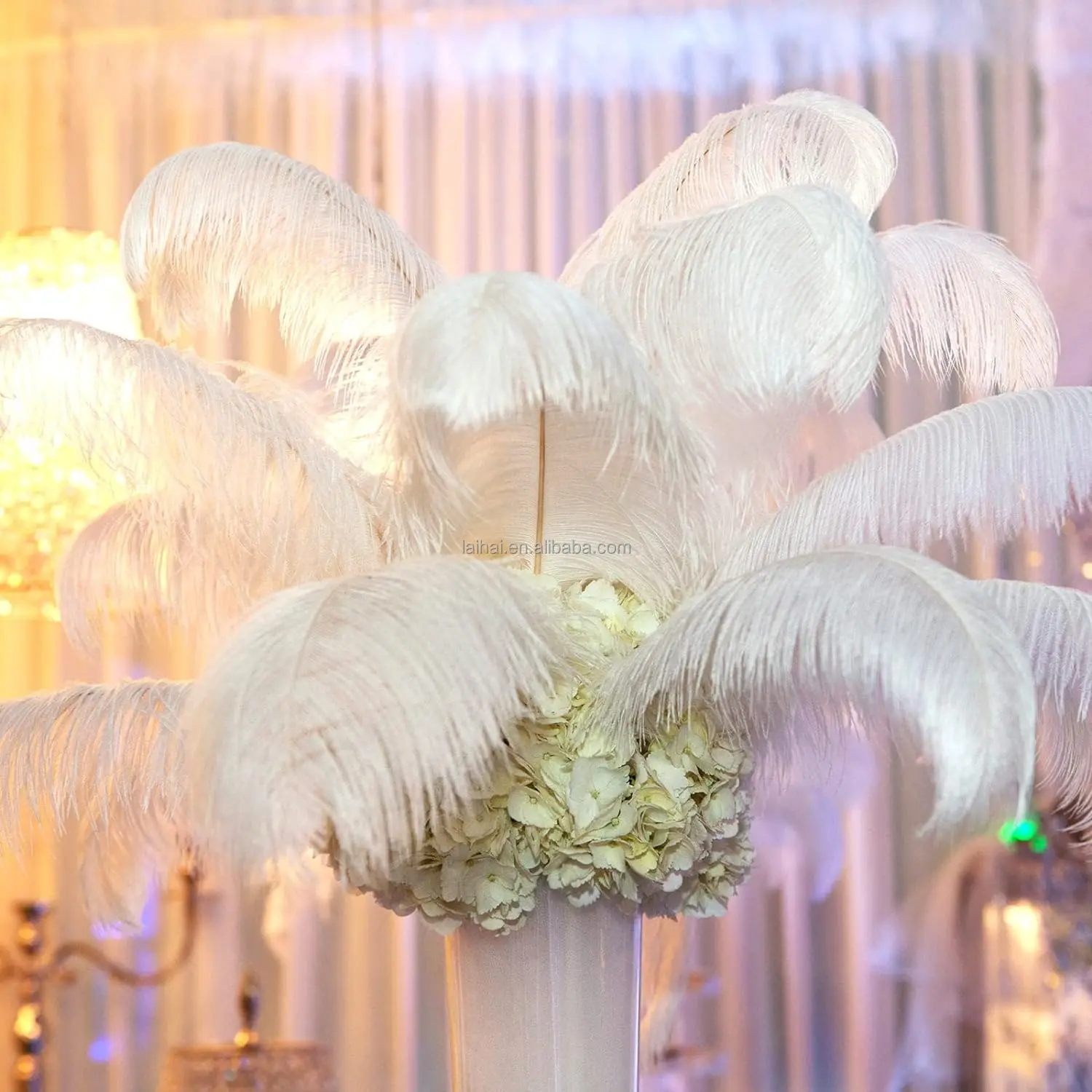 Party Decorative Cheap Color Ostrich feathers floss white ostrich birds chicken feathers ostrich chicks