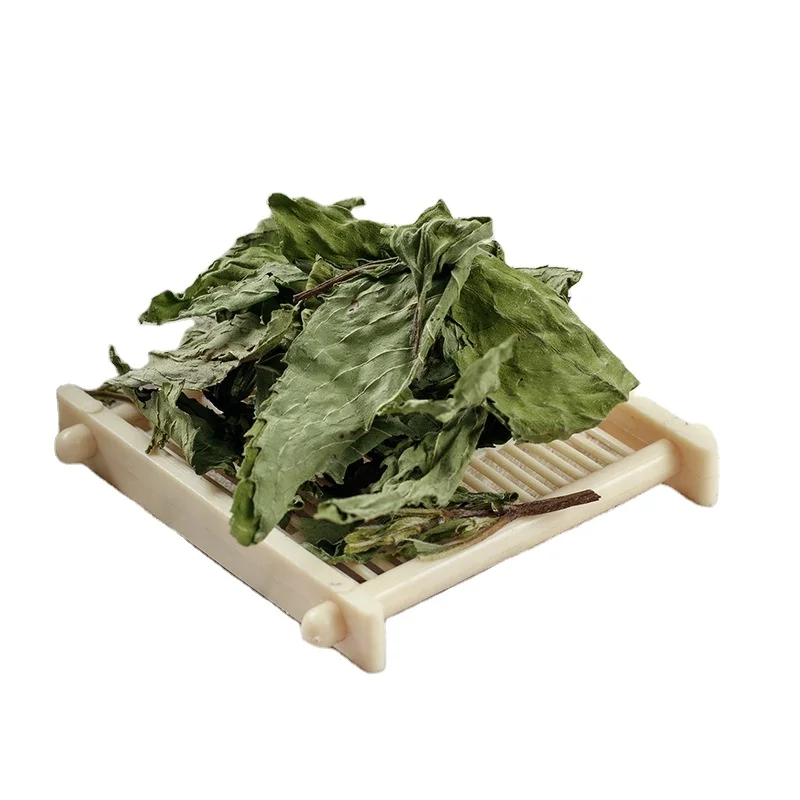 Hot Sale Dried Mint Leaves High Quality Peppermint Leaf for Herbal Tea Juice Cocktail