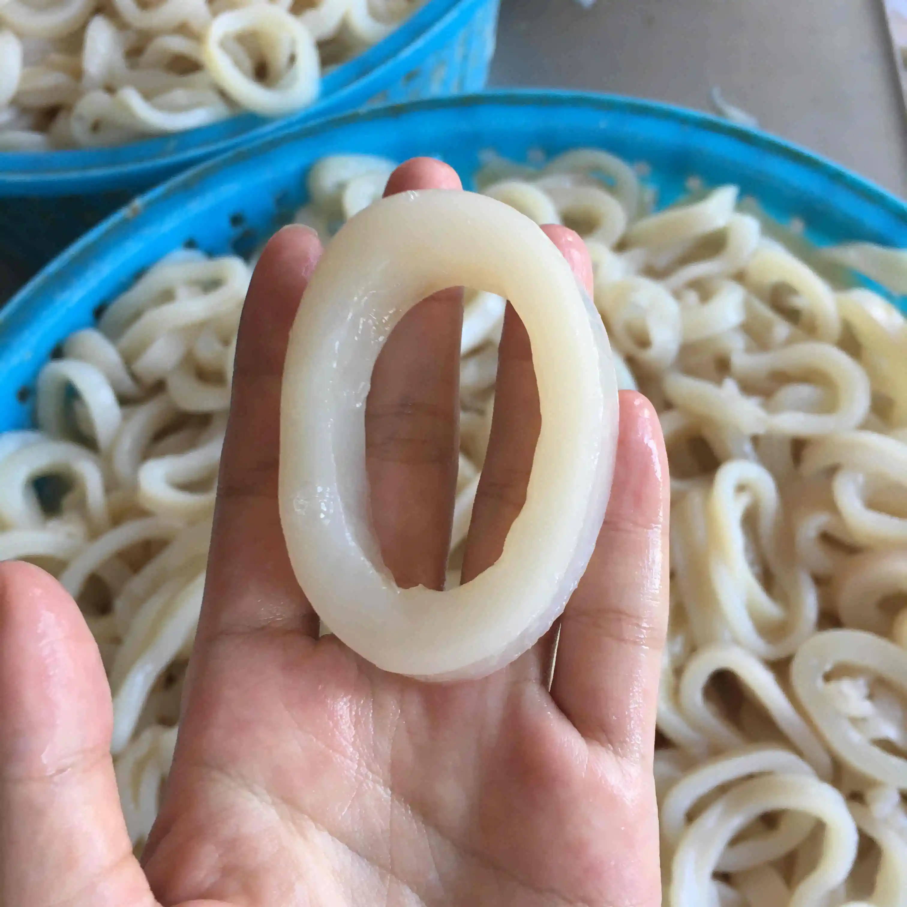 Frozen boiled indian ocean squid  ring with yellow spot off
