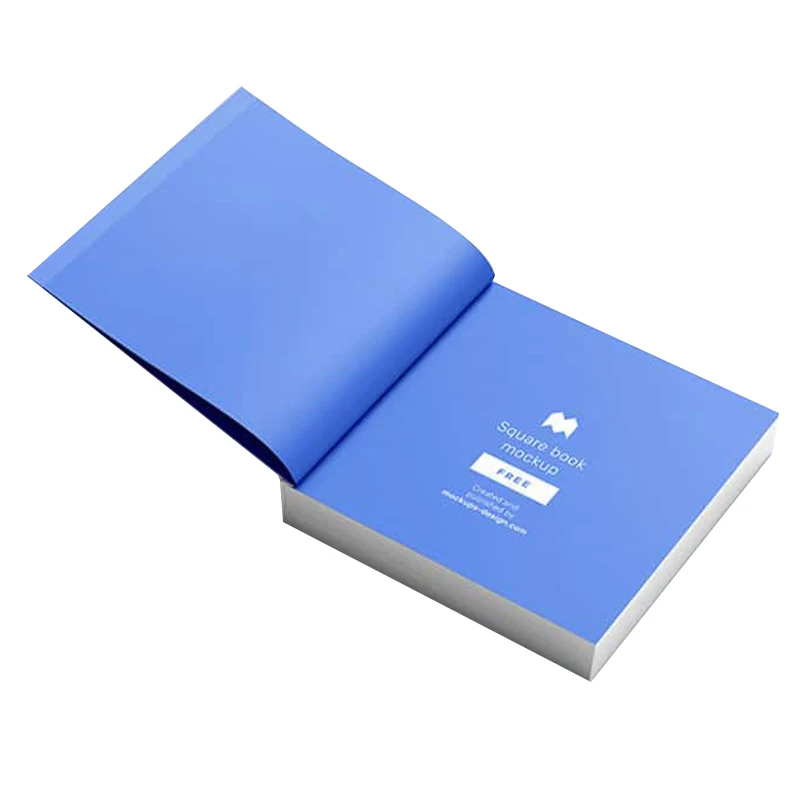 
Customized Professional Pantone Color Printing Book 