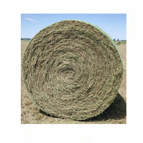 Factory Price Premium Quality Alfalfa Hay for Animal Feeding Stuff Alfafa Bales