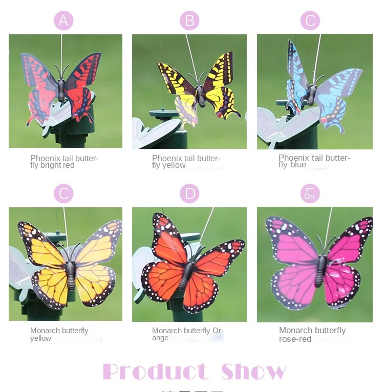 Butterfly details page_05