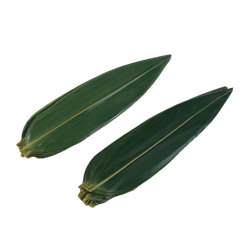 Organic Fresh Sushi Bamboo Leaves Food Decoration Barbecue Serving Tool Natural Leaf