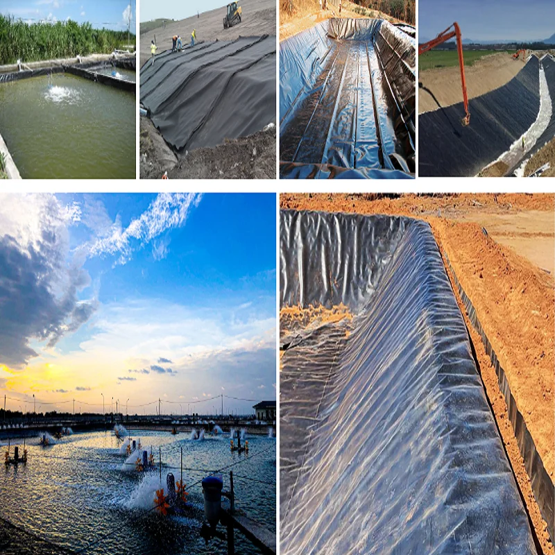 Geomembranes GM13 ASTM 0.5mm 0.75mm 1mm HDPE pond liner hdpe geomembrane sheet for fish pond farm tank
