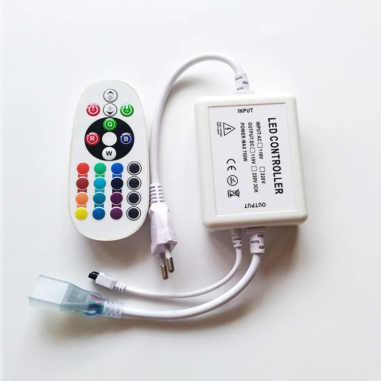 Holiday Lighting AC220V AC110V RGB Neon Lights Power Supply PLug For Tira Led RGB Neon Flex Remote Control