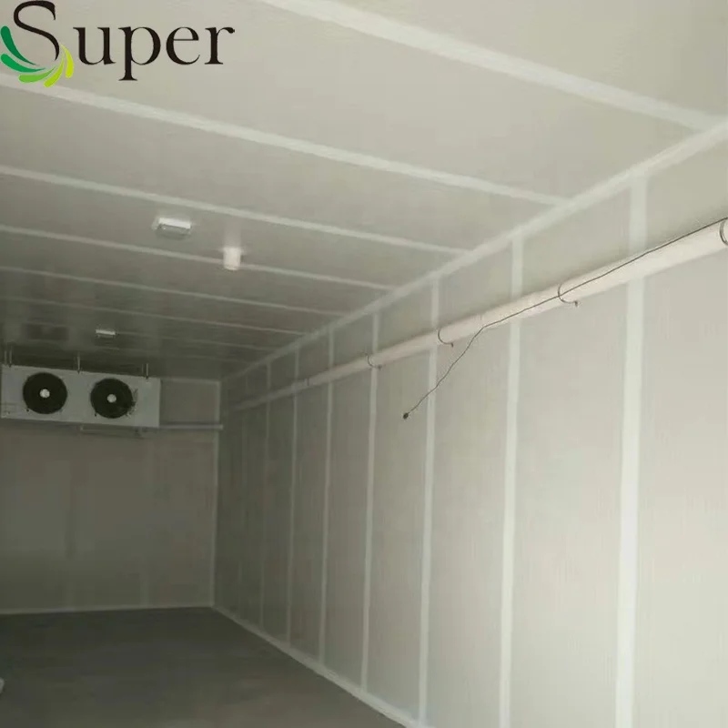 
Hot Sale Steel Structural Cold Room Storage Easy Installation 