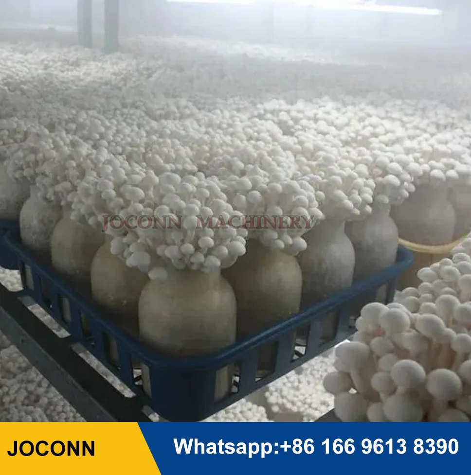 12Kg/h Capacity Mushroom Industrial Ultrasonic Humidifier Mushroom Spawn Room Humidifier for Greenhouse