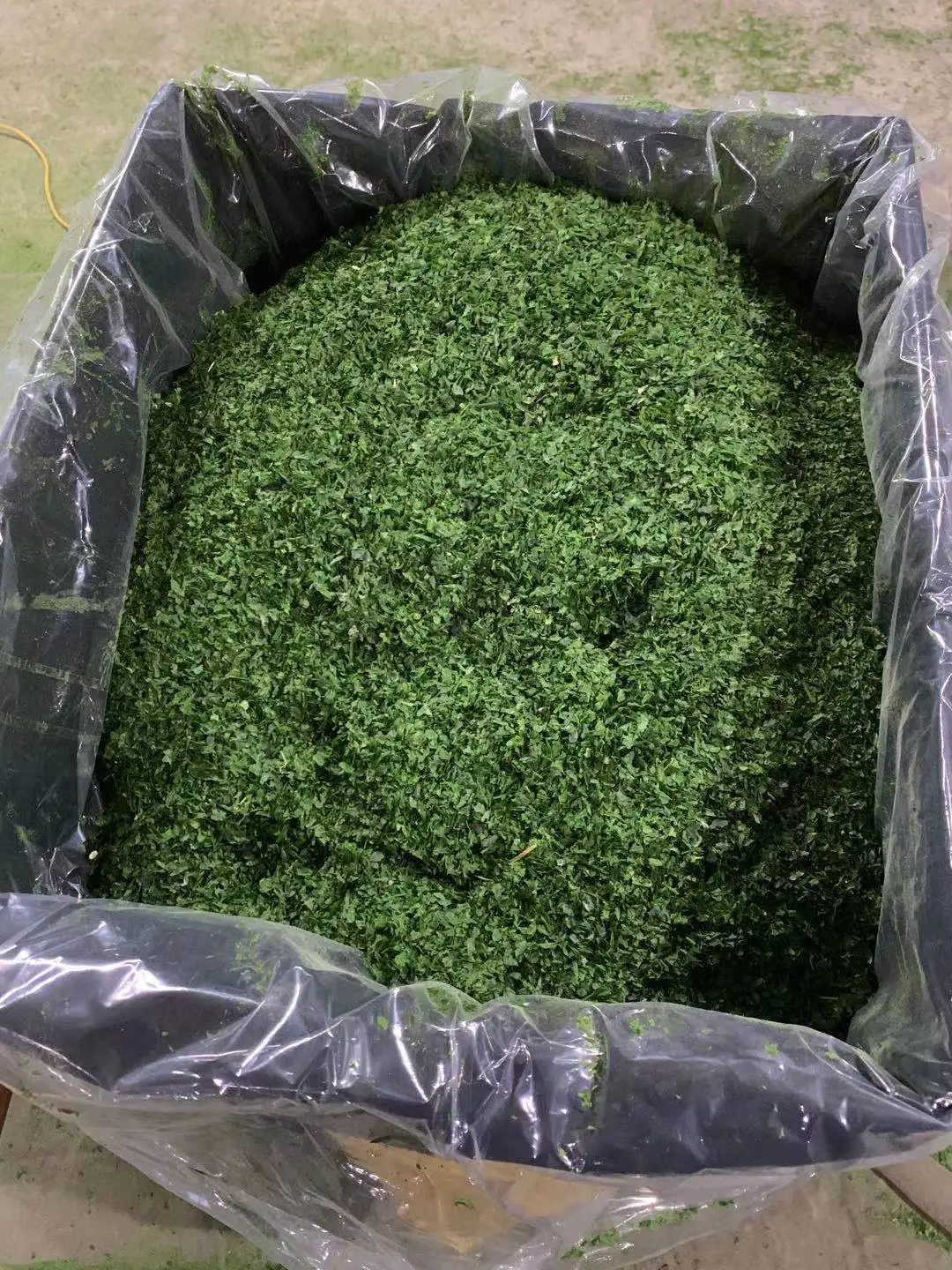 Chinese Edible Seaweed Dried Seaweed Flakes Aosa Seaweed