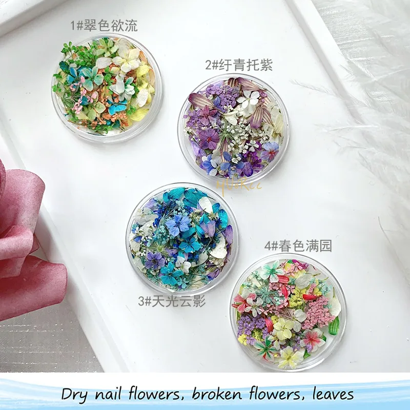 Mix Design Nail Art Dried Flowers Mini Real Flowers 3D Natural Flowers Nail Decorations for DIY Craft Accessories