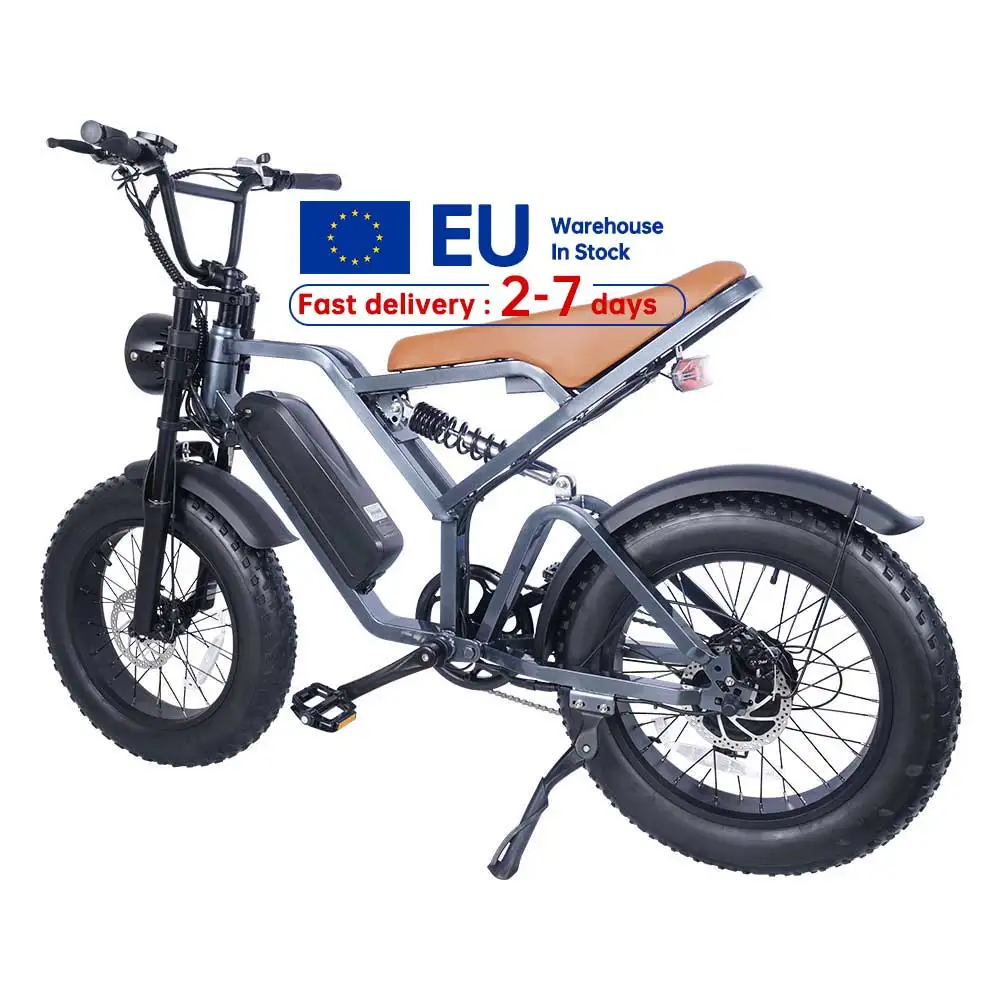 E-Bike 48v 250Watt 750W 1000W E Bike Full Suspension Fat Tire Dirt Ebike Adults Fatbike Electric Bicycle for Sale