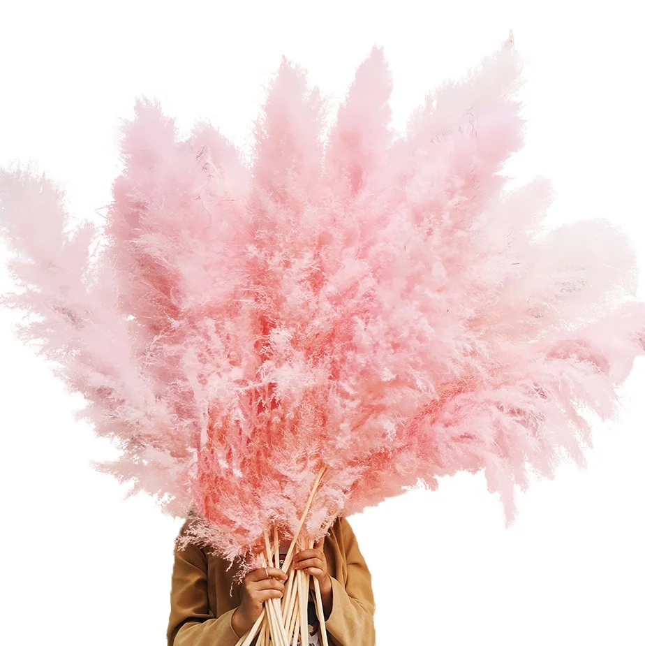 Factory Wholesale Boho Wedding Home Decor Natural Dried Tall Fluffy Large Reed Plume Pampass Grass Pompas Grass Pampas Grass
