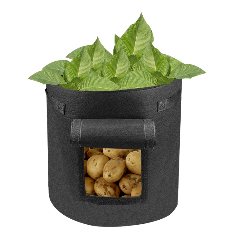 Vegetable Planting Container Seed Strawberry Bags Seeding Garden Felt Potato Plant Non Woven Bag for Growing
