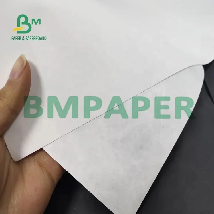 787mm Width Coated White 1025D Tyvek Paper  For HP Cannon Inkjet Printer