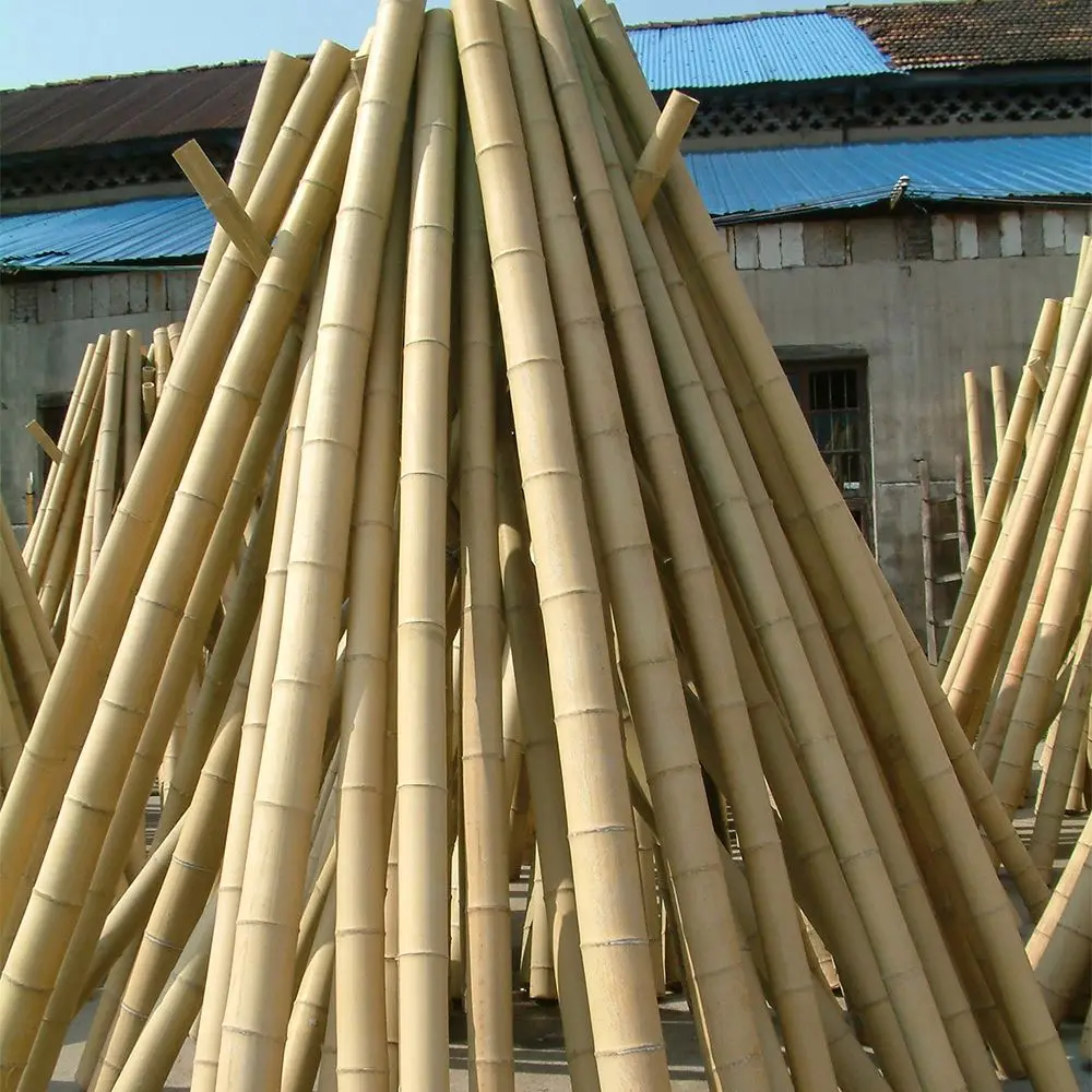 Wholesale Price Natural Decoration Building Construction Big Bamboo Pole
